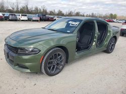 Dodge Charger salvage cars for sale: 2023 Dodge Charger SXT