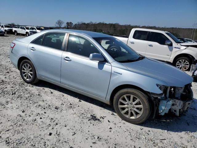 2010 Toyota Camry Hybrid