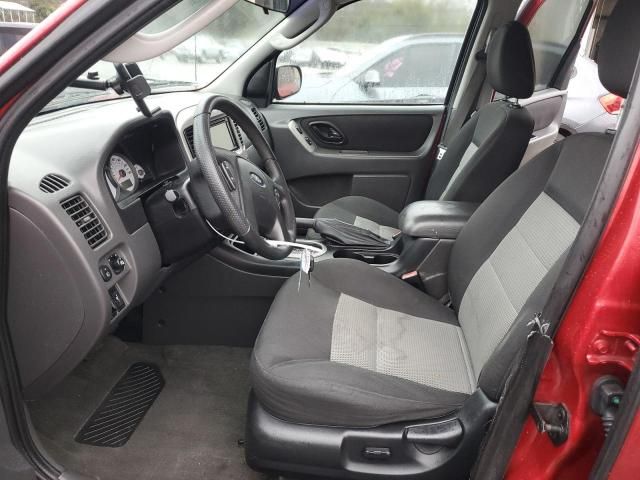 2007 Ford Escape XLT