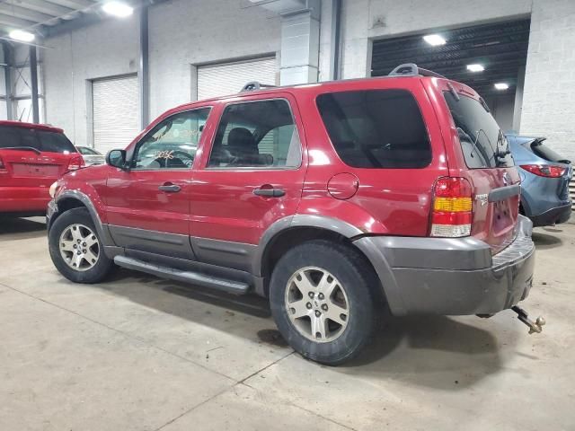 2005 Ford Escape XLT