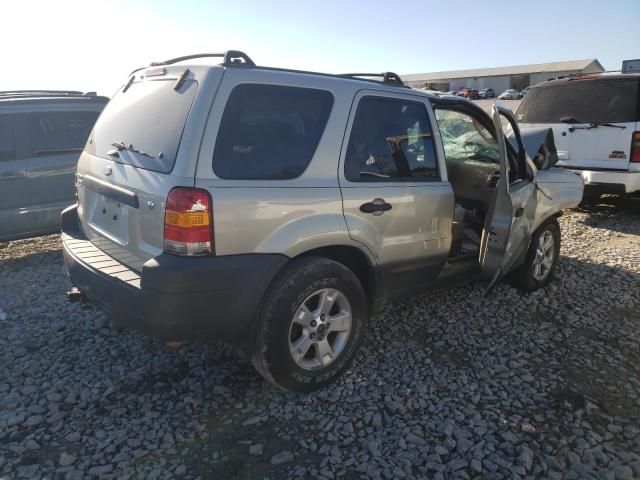 2005 Ford Escape XLT