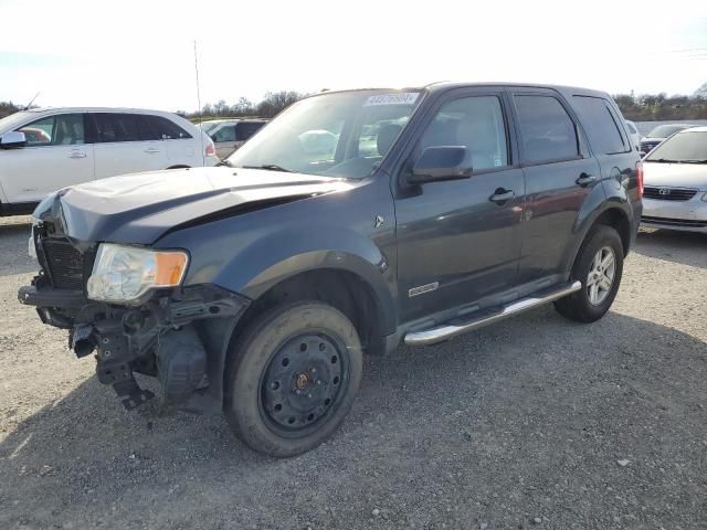 2008 Ford Escape HEV