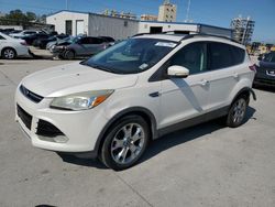 Ford Escape SEL Vehiculos salvage en venta: 2013 Ford Escape SEL