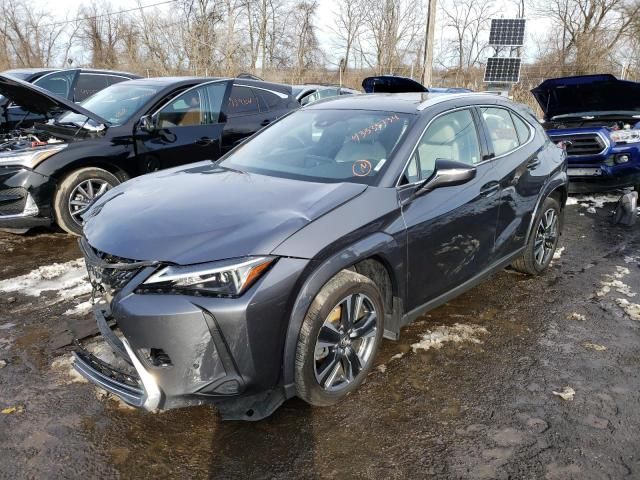 2023 Lexus UX 250H Premium