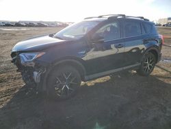 Vehiculos salvage en venta de Copart San Diego, CA: 2017 Toyota Rav4 HV SE