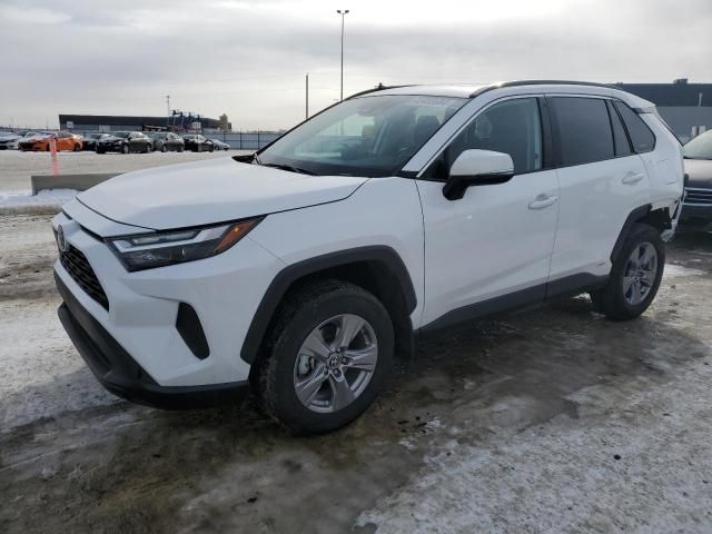 2023 Toyota Rav4 XLE