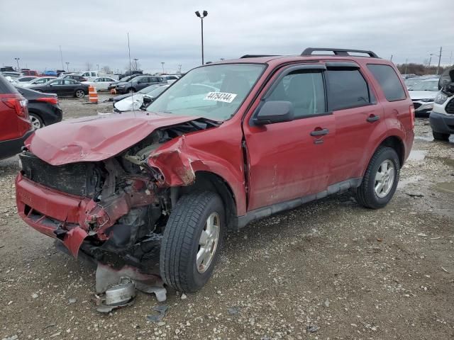 2010 Ford Escape XLT