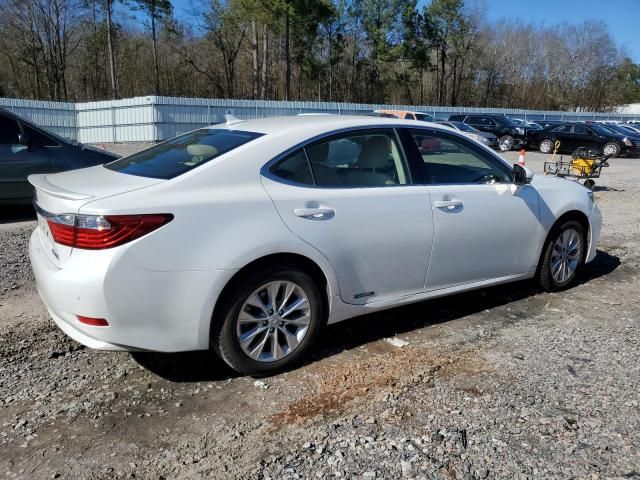 2013 Lexus ES 300H