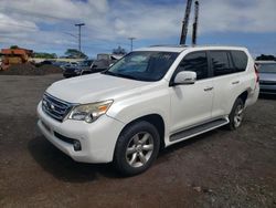 Salvage cars for sale from Copart Kapolei, HI: 2010 Lexus GX 460