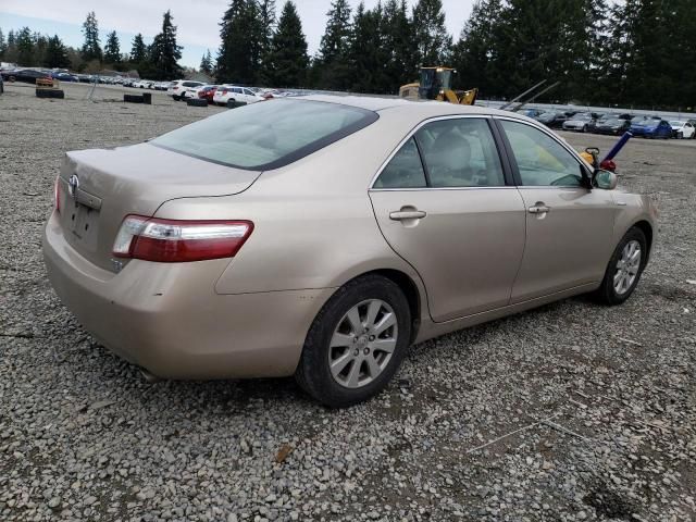 2007 Toyota Camry Hybrid