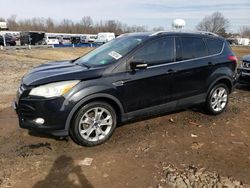 Ford Escape Titanium Vehiculos salvage en venta: 2015 Ford Escape Titanium