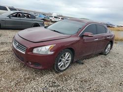 Nissan Maxima salvage cars for sale: 2010 Nissan Maxima S