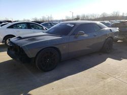 Salvage cars for sale at Louisville, KY auction: 2019 Dodge Challenger R/T Scat Pack