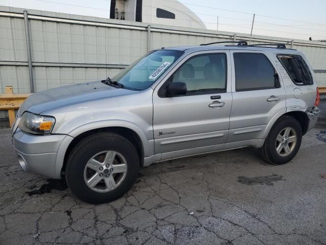 2006 Ford Escape HEV