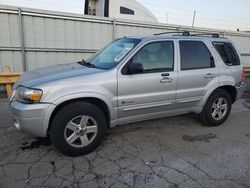 Salvage cars for sale at Dyer, IN auction: 2006 Ford Escape HEV