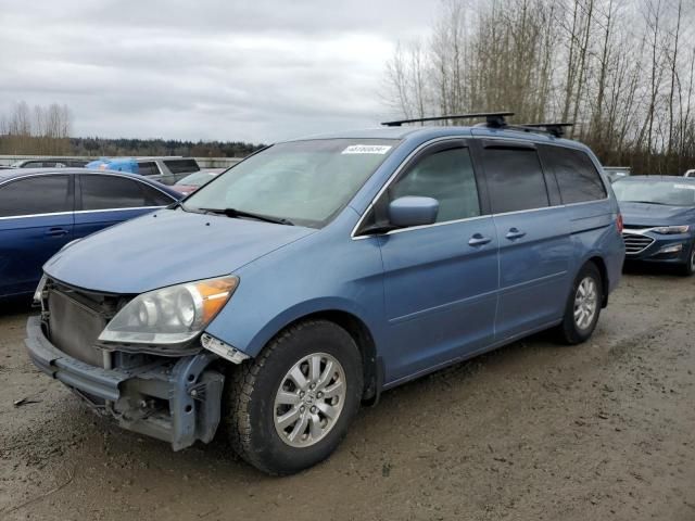 2008 Honda Odyssey EXL