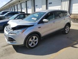 Salvage cars for sale at Lawrenceburg, KY auction: 2016 Ford Escape SE