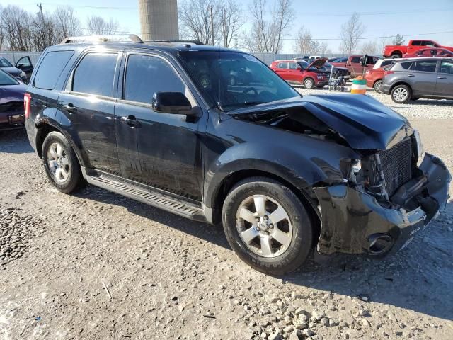 2009 Ford Escape Limited