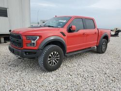 Salvage cars for sale at Temple, TX auction: 2019 Ford F150 Raptor