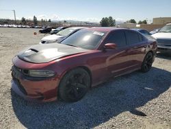 Dodge salvage cars for sale: 2021 Dodge Charger Scat Pack