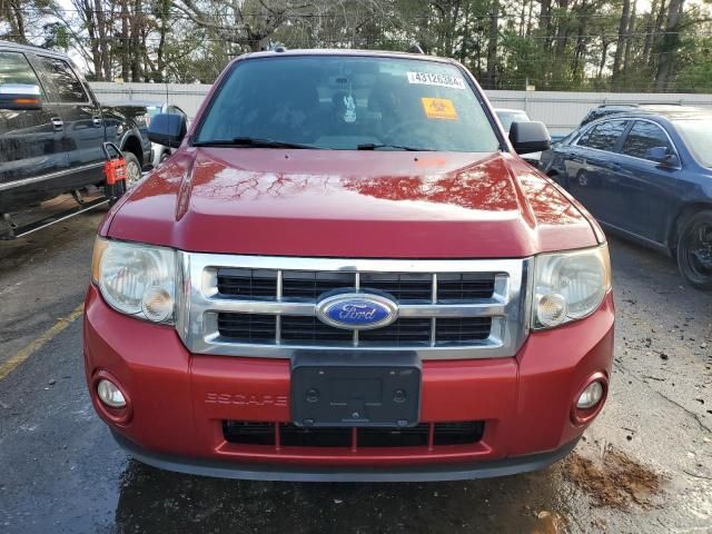 2012 Ford Escape XLT