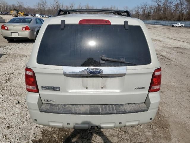 2008 Ford Escape Limited