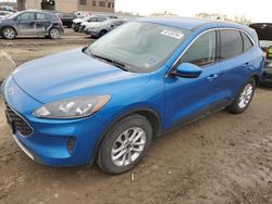 Salvage cars for sale at Kansas City, KS auction: 2021 Ford Escape SE