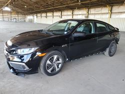 Honda Civic LX salvage cars for sale: 2020 Honda Civic LX