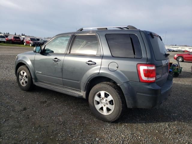 2009 Ford Escape Hybrid