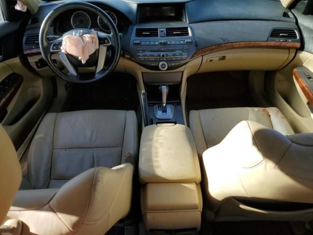 2011 Honda Accord EXL