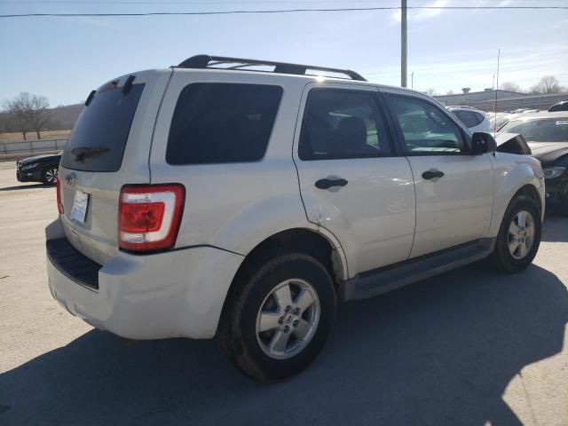 2010 Ford Escape XLT