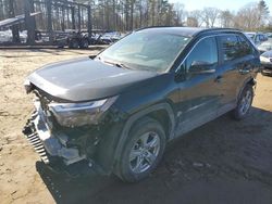 Toyota Rav4 XLE salvage cars for sale: 2022 Toyota Rav4 XLE