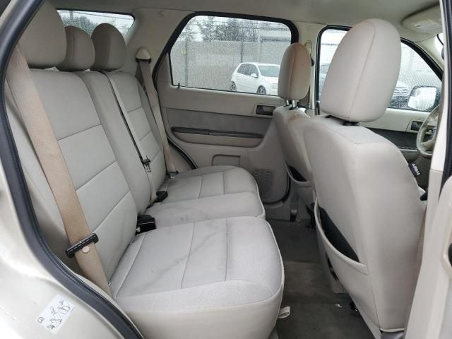 2010 Ford Escape XLT