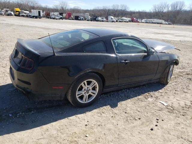 2013 Ford Mustang