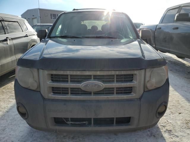 2008 Ford Escape XLT