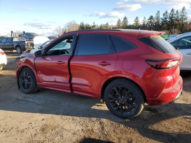 2023 Ford Escape ST Line Premium