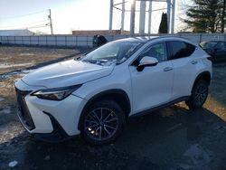 Salvage cars for sale from Copart Windsor, NJ: 2022 Lexus NX 350