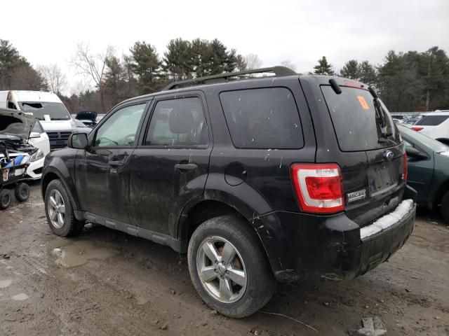 2011 Ford Escape XLT