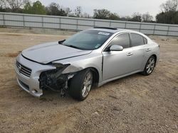 Salvage cars for sale at Theodore, AL auction: 2010 Nissan Maxima S