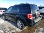 2010 Ford Escape Limited