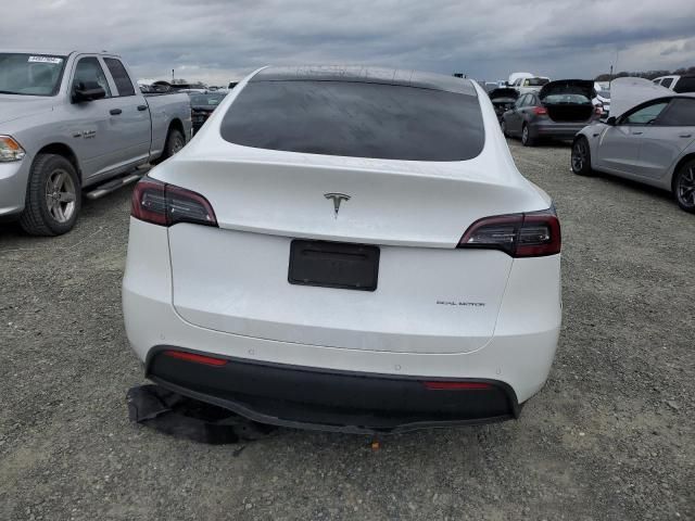 2020 Tesla Model Y