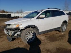 Salvage cars for sale at Columbia Station, OH auction: 2010 Mazda CX-9