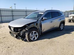 Salvage cars for sale at Lumberton, NC auction: 2023 Hyundai Tucson SEL