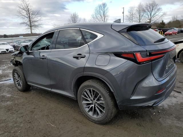 2023 Lexus NX 350