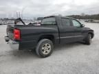 2005 Dodge Dakota Quad SLT