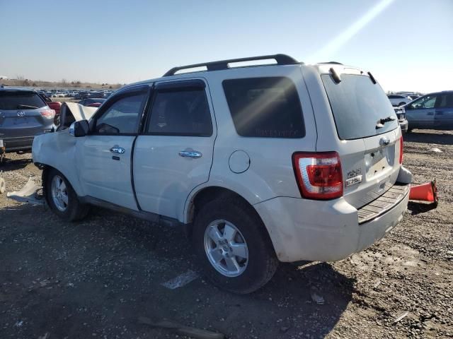 2012 Ford Escape XLT