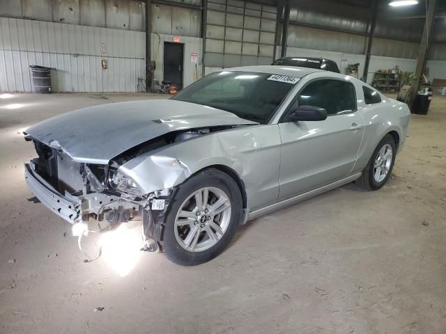 2013 Ford Mustang