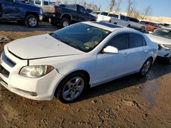 Chevrolet Malibu salvage cars for sale: 2009 Chevrolet Malibu 1LT