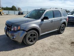 Salvage cars for sale from Copart Newton, AL: 2011 Ford Escape XLT