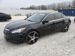 Salvage cars for sale from Copart New Braunfels, TX: 2012 Honda Accord EXL